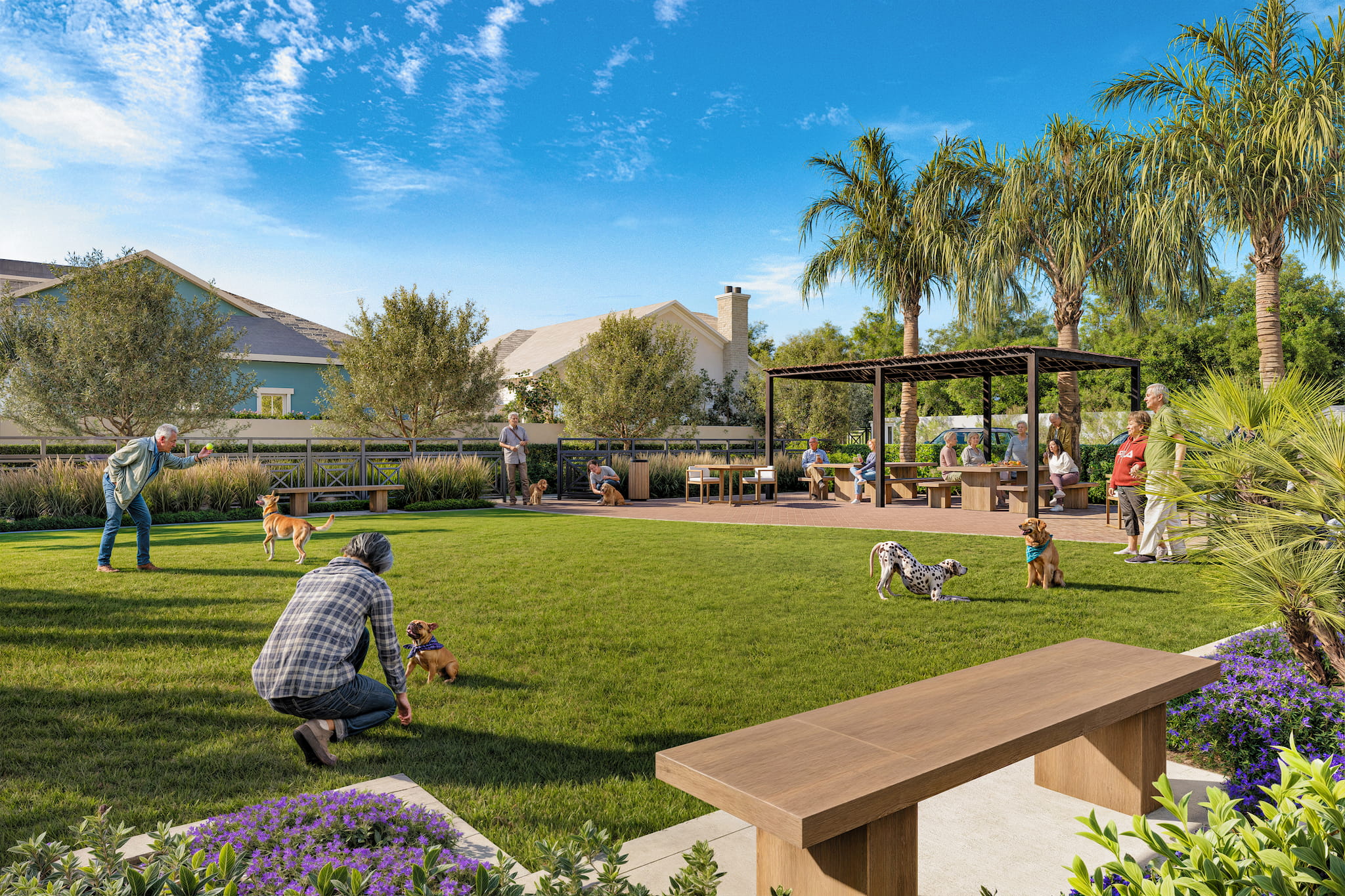 A sunny park scene with people and dogs enjoying a grassy area. A wooden pergola in the background provides shade to seated individuals. The park is surrounded by palm trees and shrubs, with benches and tables under the pergola. The sky is mostly clear with a few scattered clouds.